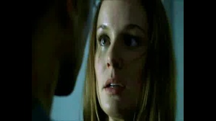 Michael/sara (prison Break)