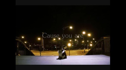 Angus Julia Stone - Draw Your Swords 2010 (lyrics) 