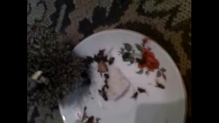 Тарлйо яде мухи.