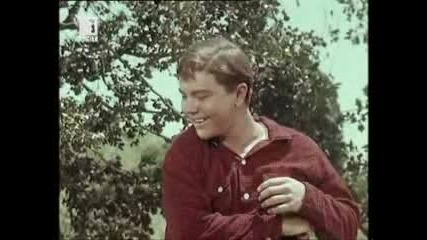 Lassie (1954) Е06