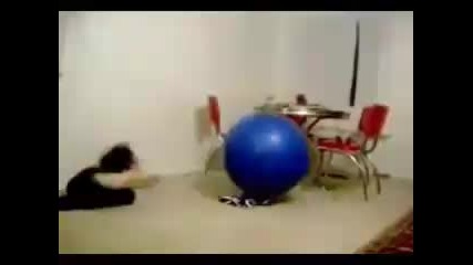 Thats So Funny - Little Kid Faceplant 