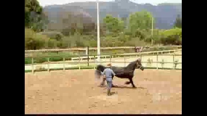 Los Herederos Del Monte Capitulo 3 (5/5)