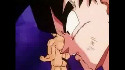 Dragon Ball Z - Until The Day I Die