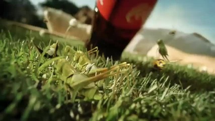 Coca - Cola Heist 