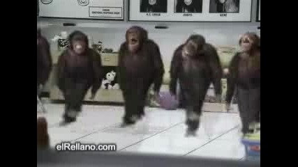 Маймунски танц 