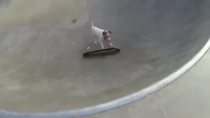 Куче кара умело скейтборд във вдлъбнатина