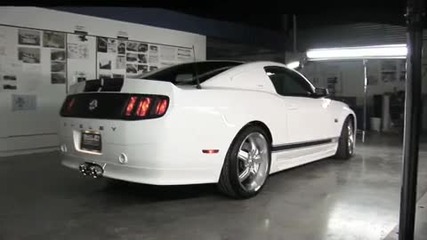 First Look: 2011 Ford Shelby Gt350 