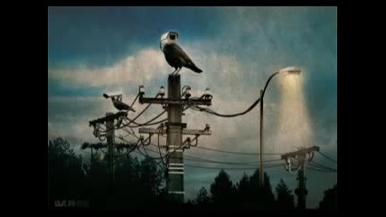 Unitech - Night Road ( Promo Cut )