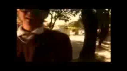 Sonica Opcion - Perfecto