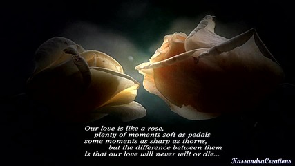 Yiruma - Destiny Of Love (love Quotes) 