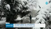 Изненадващо: 15-сантиметрови преспи сняг натрупаха в Белград