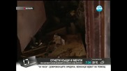 Живот след потопа - Здравей, България (24.06.2014г.)