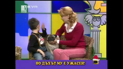 Куче Пърди В Ефир