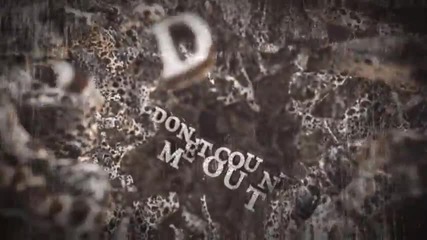The Almost - I'm Down - Lyric Video