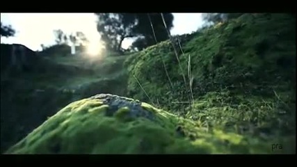 Sophie Zelmani - Live my Life with you