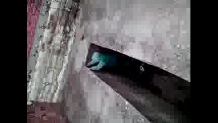 Кадир Лудия3
