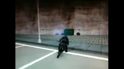 gtaaaaaaaa 