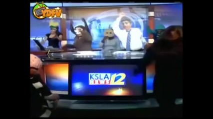Ultimate Harlem Shake Compilation 2013