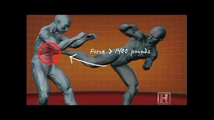 Human Weapon - Mma - Spinning Back Kick
