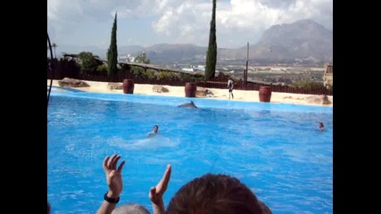 Spain 2010 Mundo Mar - шоу с делфини