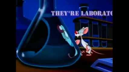 Pinky and the Brain Intro