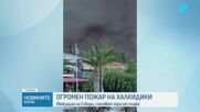 Голям пожар на Халкидики, евакуираха туристи и ограничиха движението