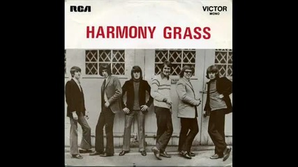 Harmony Grass - What A Groovy Day