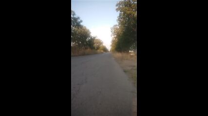 Vid_20230820_070336.mp4