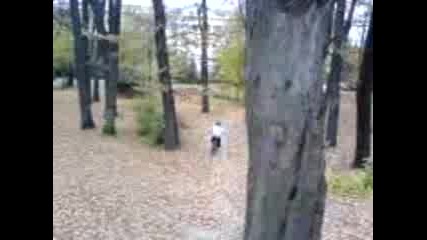 V Borisovata 2 (yavkata)