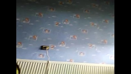 Котки и майка и