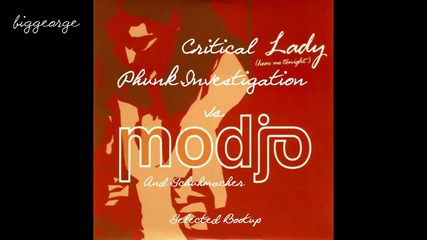 Phunk Investigation vs. Modjo And Schuhmacher - Critical Lady ( Selected Bootup )