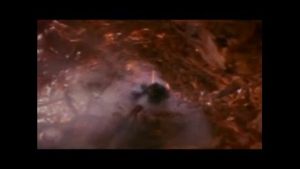 Pbs Nova - В търсене на безвредна цигара 2/4 