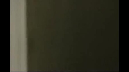 Невероятната Kristen Stewart 