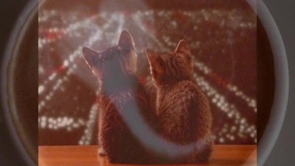 Слънце - Steve Azar - Sunshine