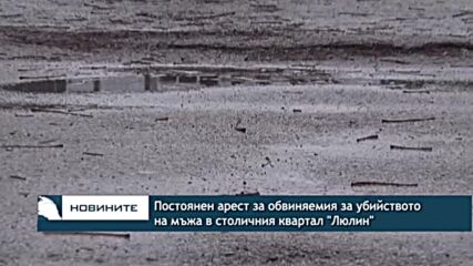 Постоянен арест за обвиняемия за убийството на мъжа в столичния квартал "Люлин"