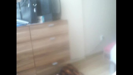lps_2005 modno reviu 1 ep. Za segaa