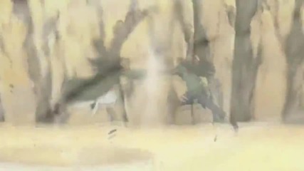 Naruto Amv - The War Rages On