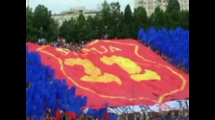 Steaua campionii