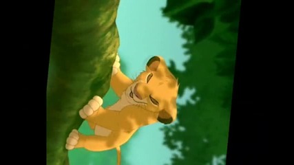 The Lion King Hakuna Matata / Catch me Timon, Pumba and Simba =]