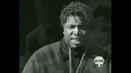 Diamond D - Sally Got A One Track Mind