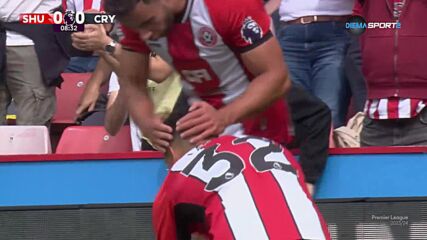 Sheffield United FC vs. Crystal Palace - 1st Half Highlights