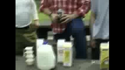Www.kicken.com - Kenny.rogers.jackass.mpeg