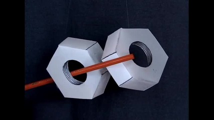 Crazy Nuts Illusion 