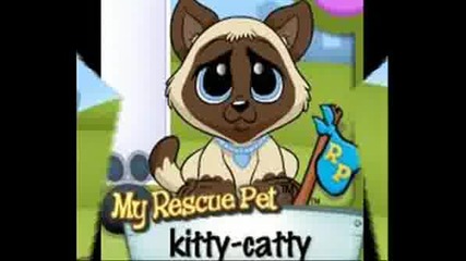 Kittycatty
