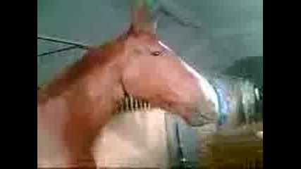 ядене на захар