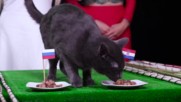 Мечтата на Модрич е жива! Ще успеят ли да победят домакините пред погледа на Путин?