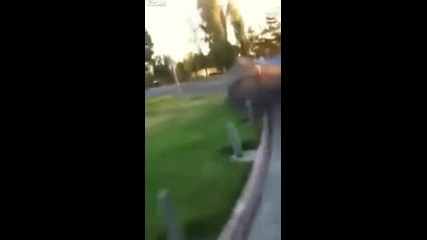 гавра с мацка :д