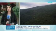 Започва мащабна реформа на Природен парк „Витоша“: Държавата готви нов план за управление и законодателни промени