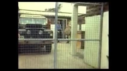 Christian the Lion