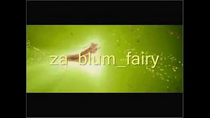za blum fairy